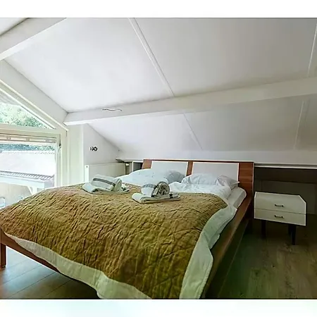 Luxurious 16-person With Swimming Pool Sauna Outdoor Kitchen With Bbq ホテル 3*